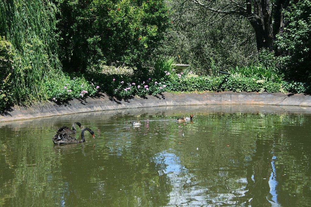 Drinkwater Guest Farm Grootgewaagd Bagian luar foto